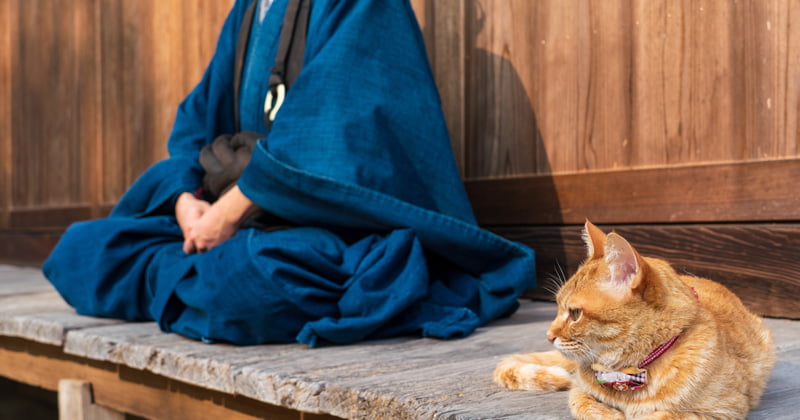 人間 と ペット 同じ 仏壇